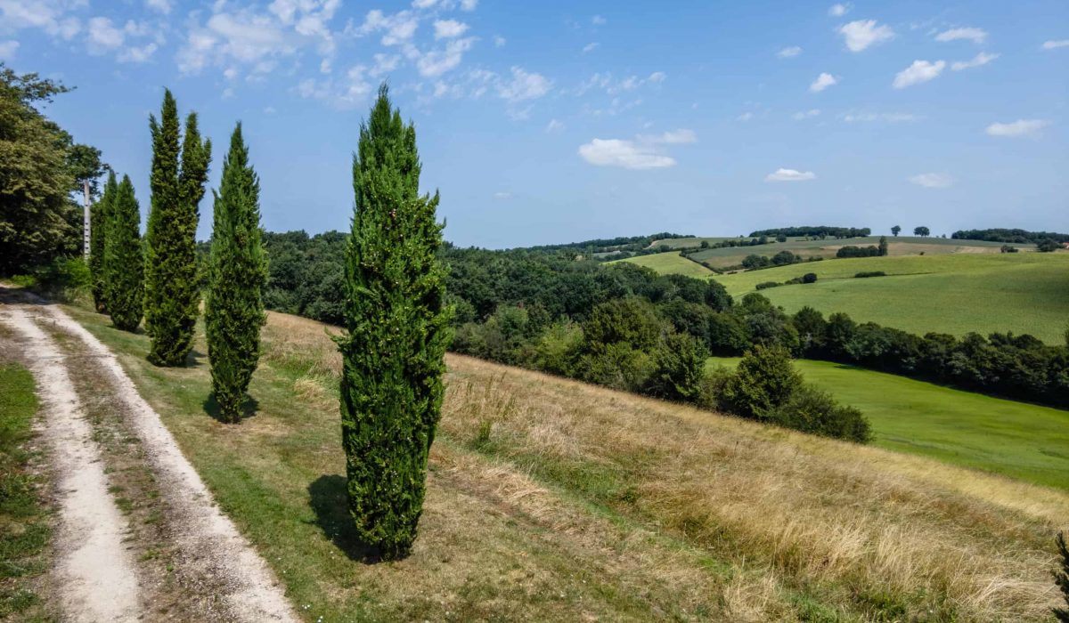 2-GARDEN-4-WMC457-71