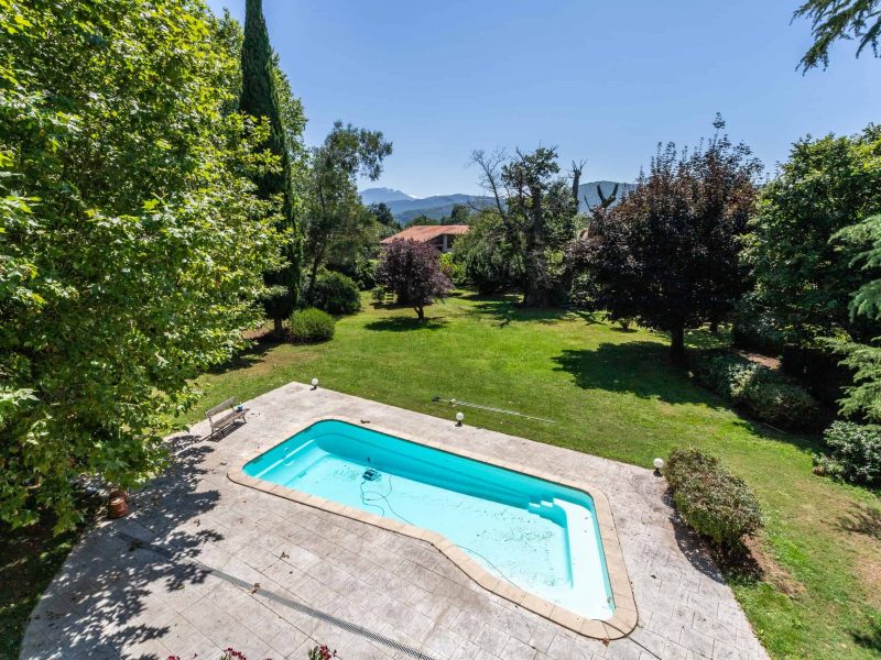 2-mountainviews-1-WMC443-14