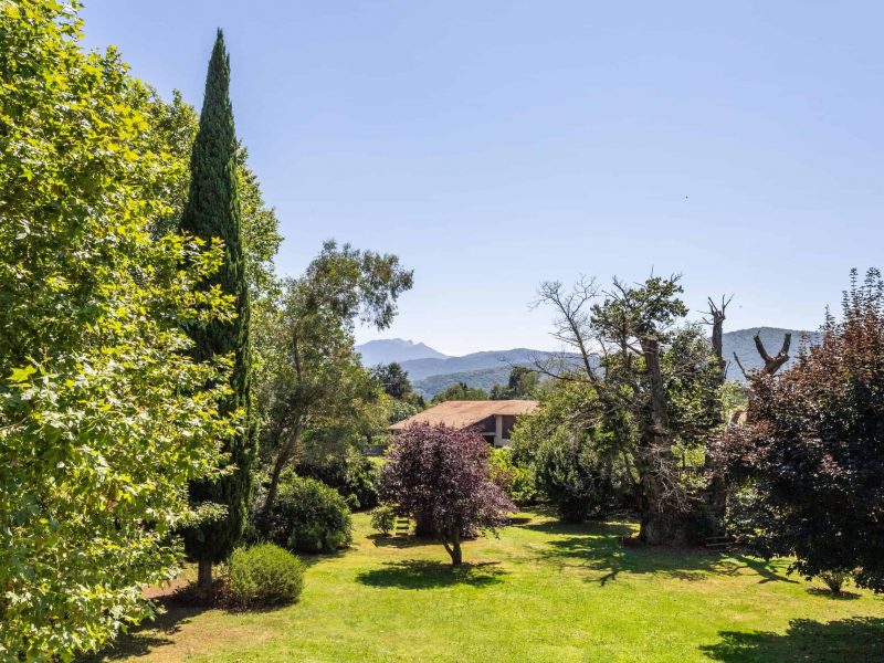 2-mountainviews-3-WMC443-13