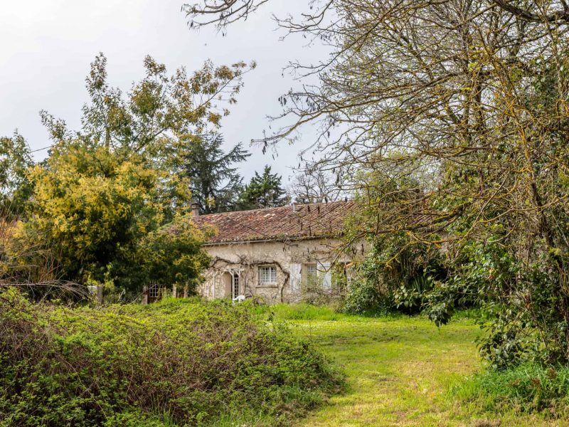 Arrière-jardin-WMC374