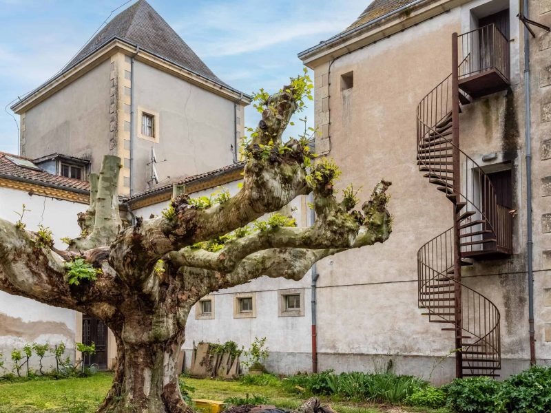 Courtyard-1-WMC576-26