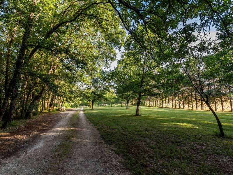 Voie d'accès-WMC431