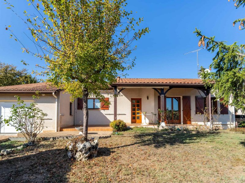 Modern house with garden and garages