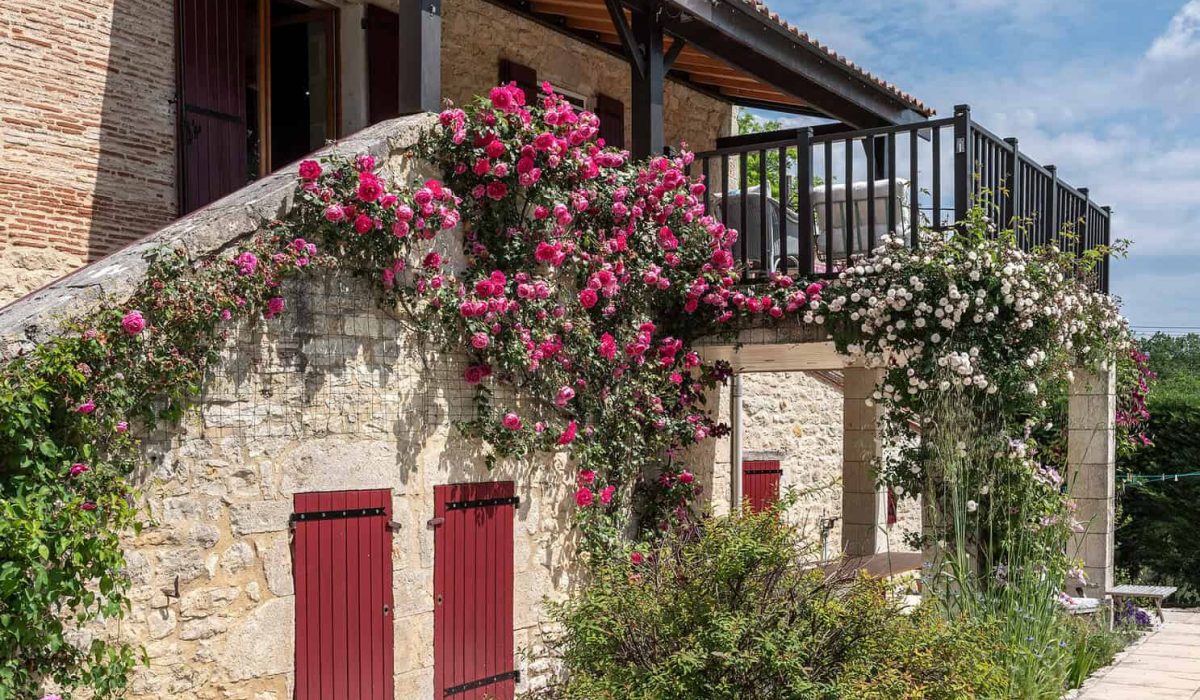 Fermeture frontale-WMC405