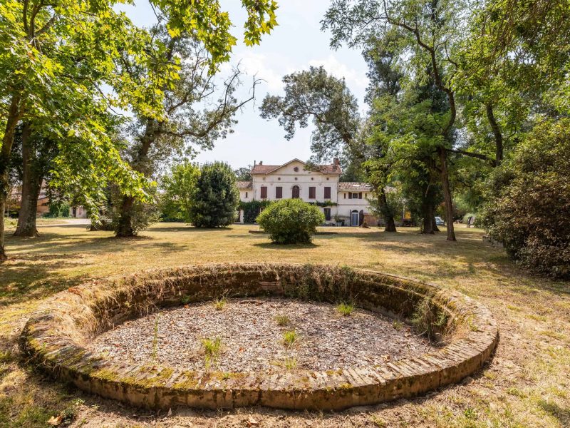 Front-garden-2-WMC469