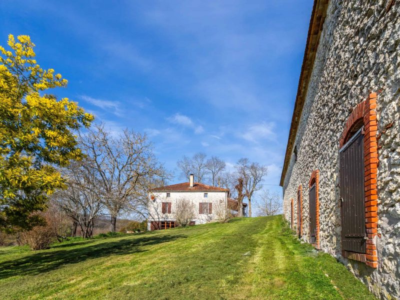 Front-garden-2-WMC546