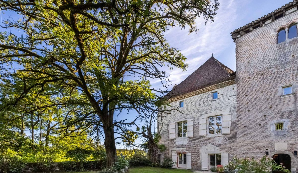 Pelouse frontale-WMC648