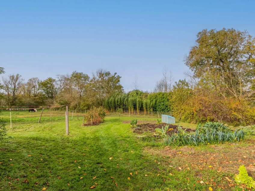 Champ de jardin-WMC662