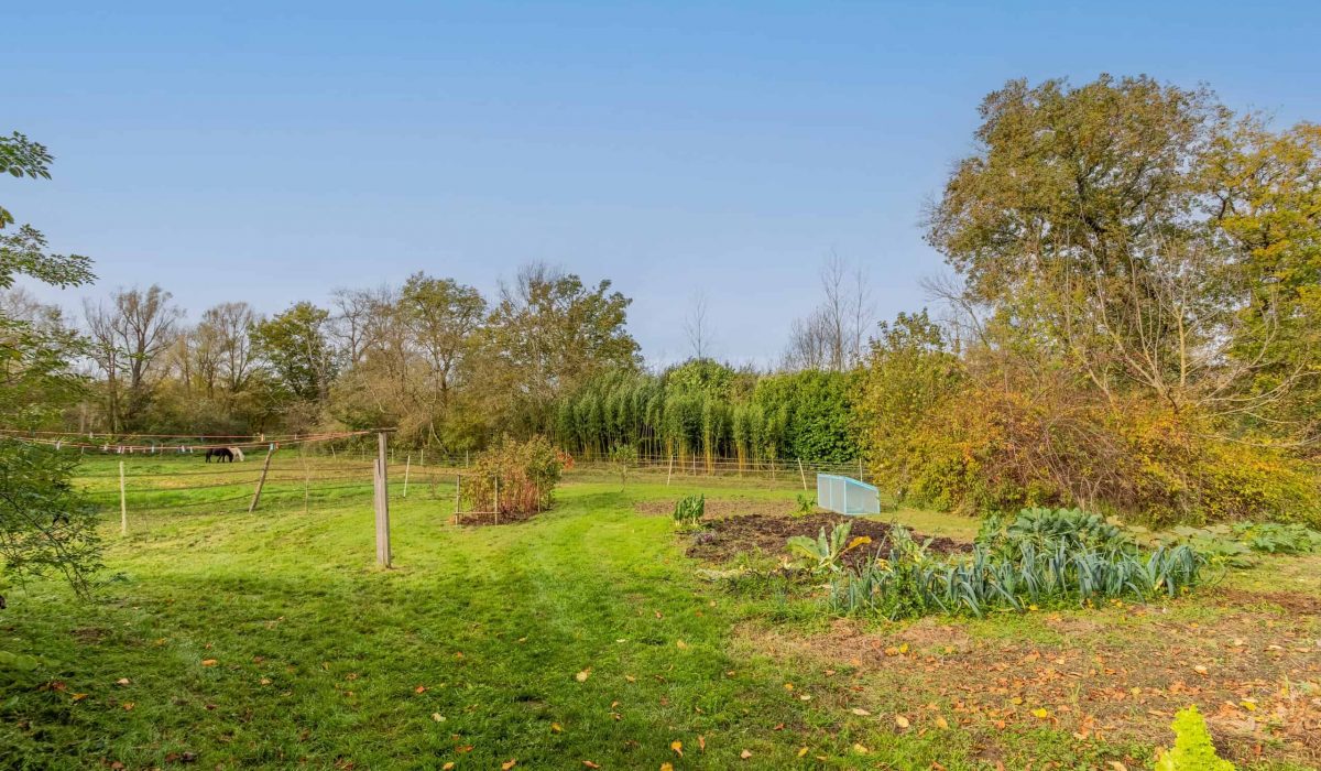 Champ de jardin-WMC662