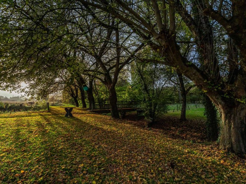 Vue du jardin-WMC324