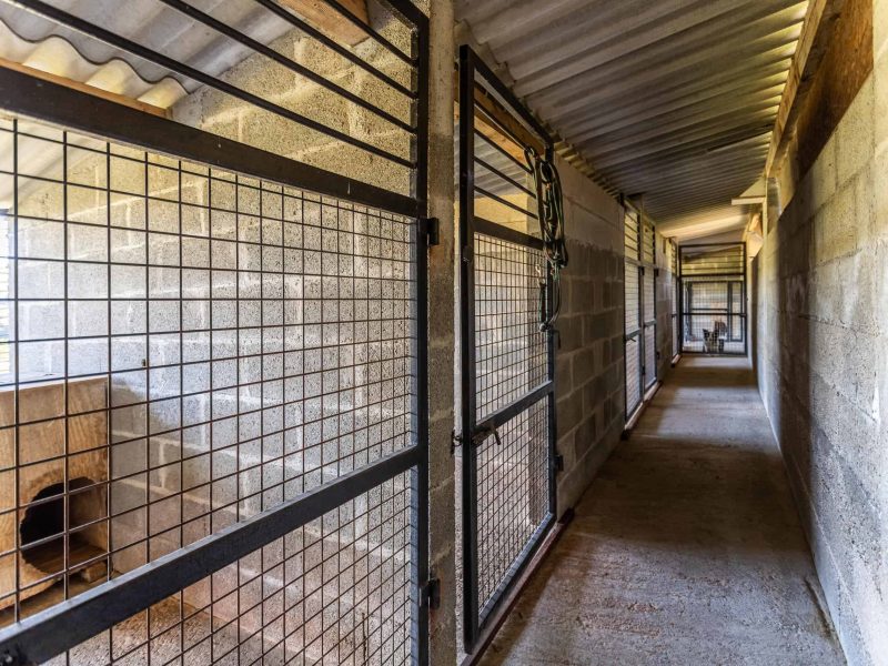 Kennels-inside-WMC314 (1)
