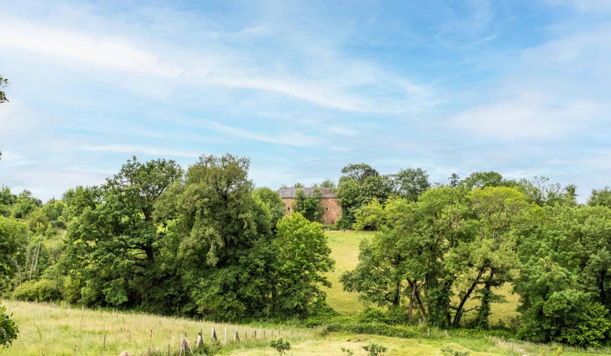 Stone barn to renovate