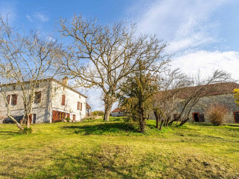 back-garden-3-wmc546