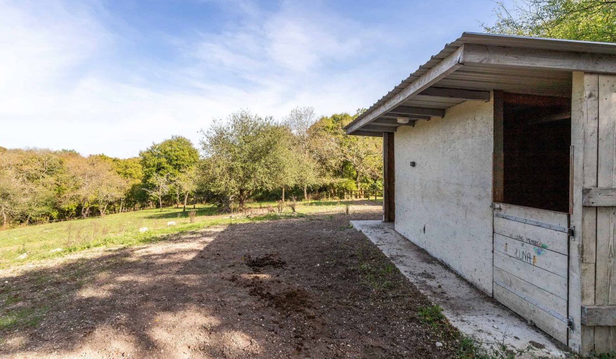 fieldshelter-1-wmc638