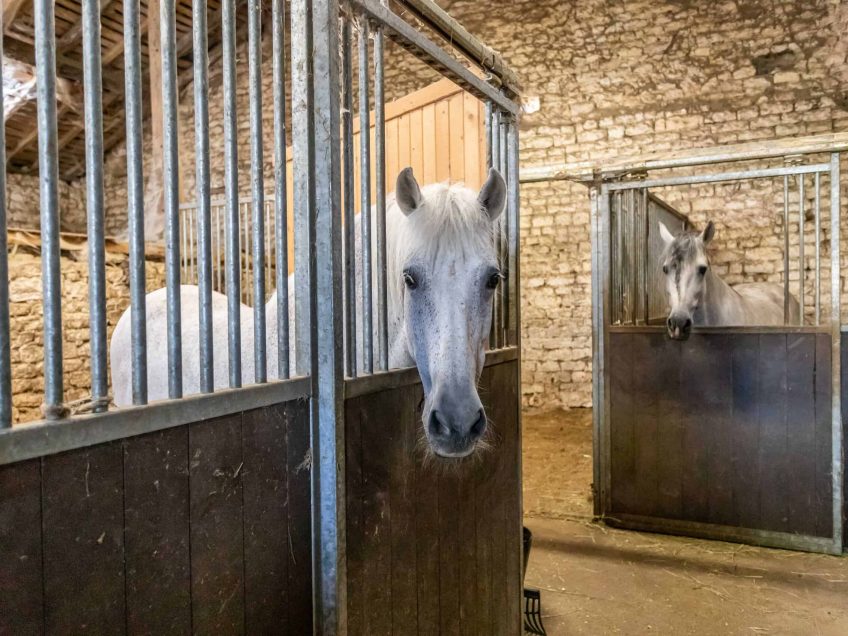 stables-1-wmc638