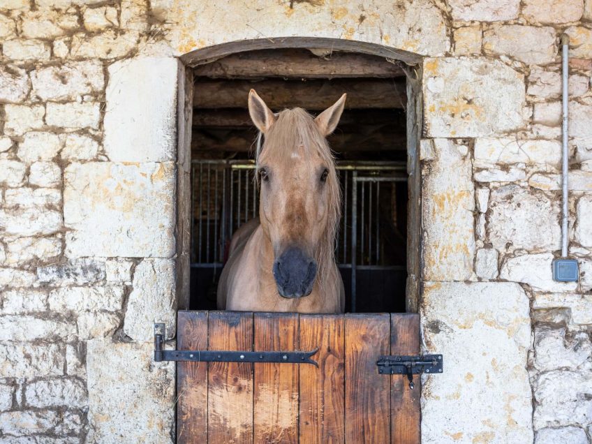 stables-4-wmc638